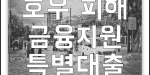 집중호우 금융지원 특별대출