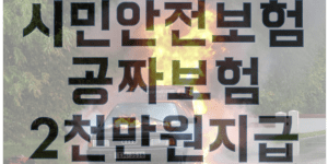 시민안전보험 보험금