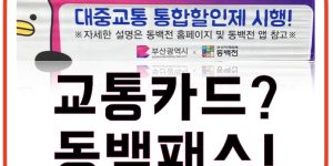 동백전 교통카드