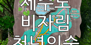 제주도 비자림 방문 후기