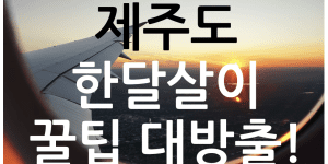 제주도 한달살이 숙소 여행 고려사항