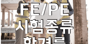 미국 fe pe 종류 합격률