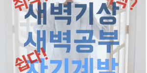 새벽 기상 새벽 공부 자기계발